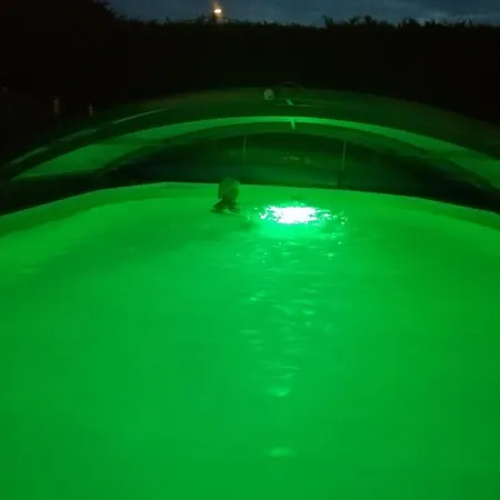 Apartamento Gite Le Petit Nid Jacuzzi Sauna Intérieure Godinne